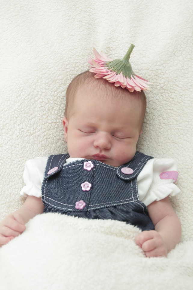 356_01191497_STREICH-156154_Bild-fuer-Zeitung