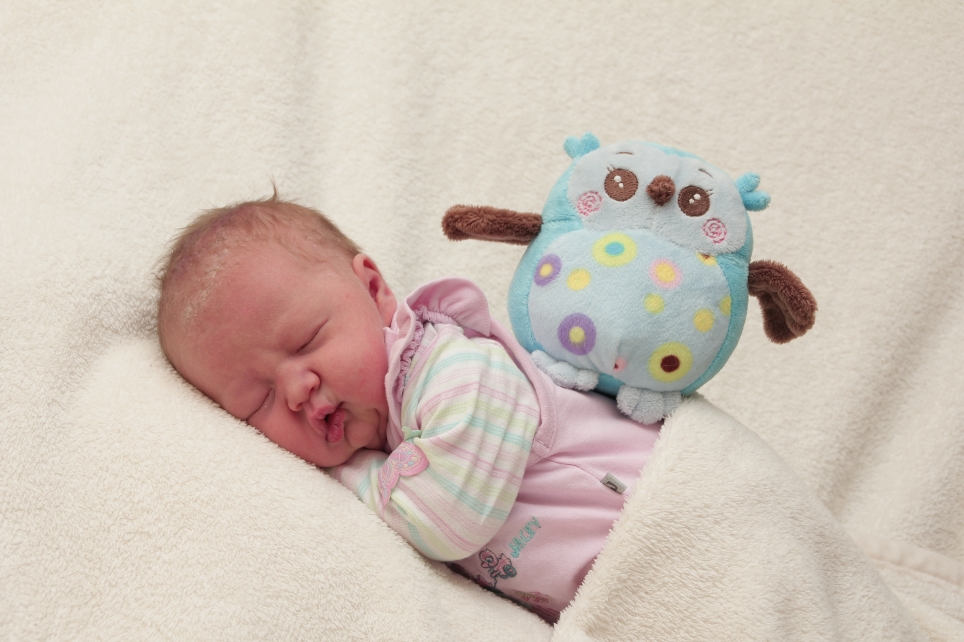 356_01192987_MARSCHALL-157871_Bild-fuer-Zeitung