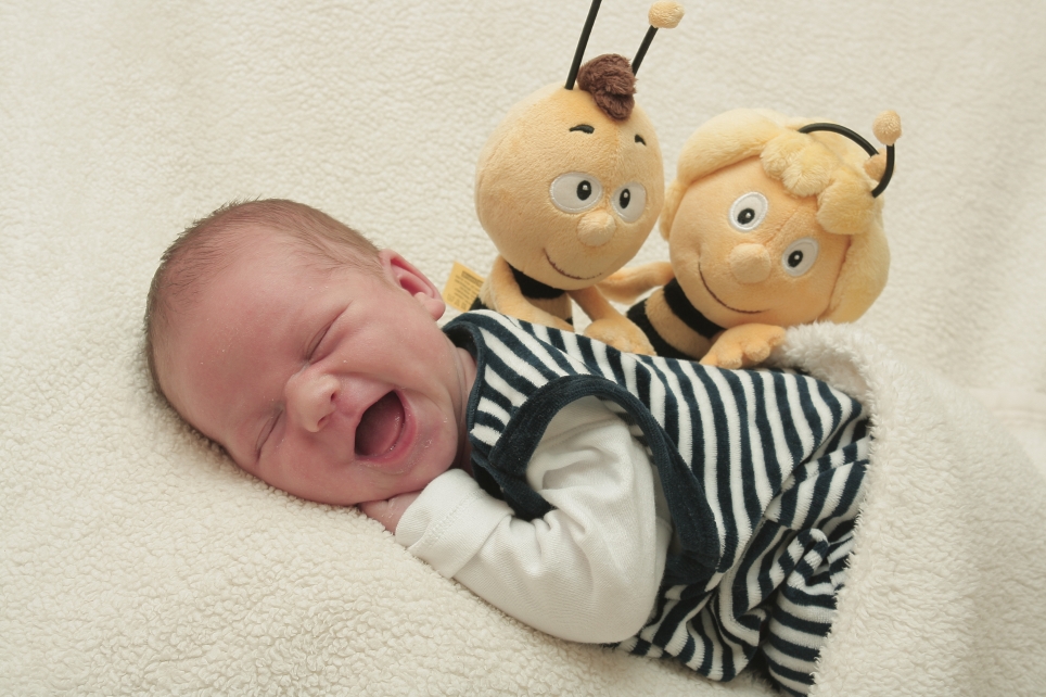 356_01193036_TRAEGER-157934_Bild-fuer-Zeitung