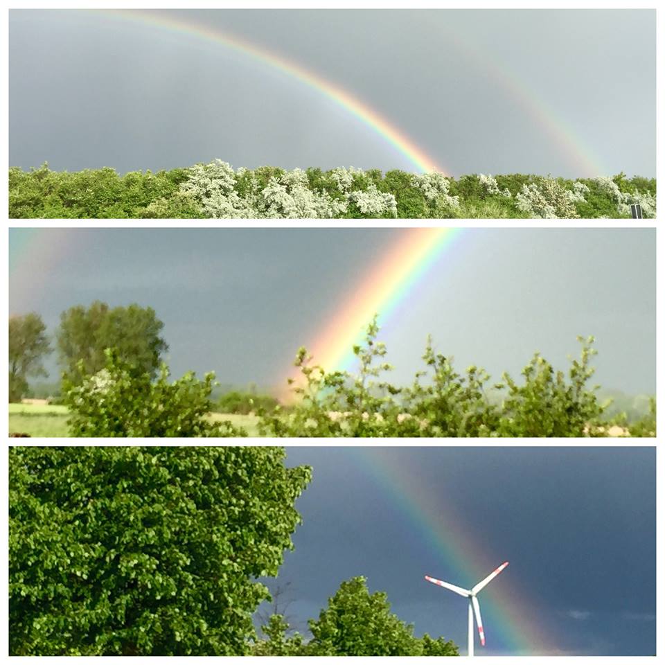 Regen