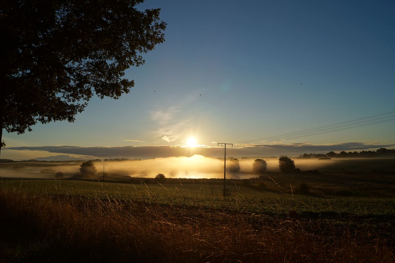 Herbstmorgen