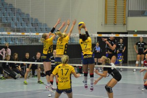 Volley