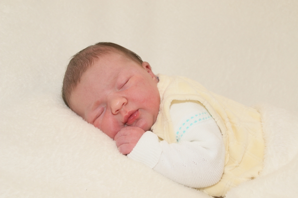 353_KN303_01464284_BERGMANN-420669_Bild-fuer-Zeitung