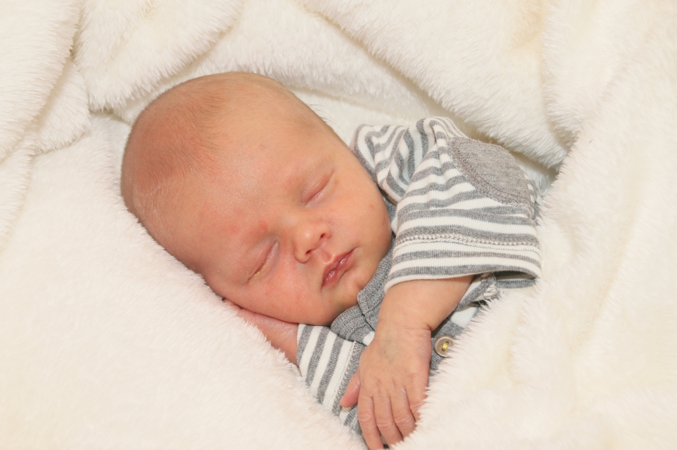 356_KN303_01465405_REVENS-422159_Bild-fuer-Zeitung