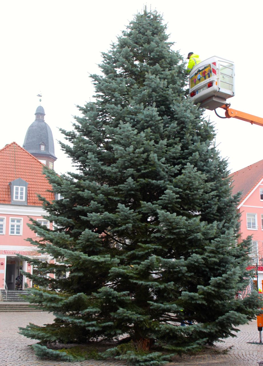 Weihnachtsbaum