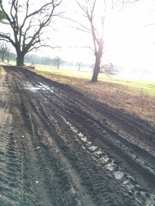 Weg1