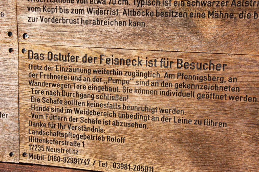Feisneck3