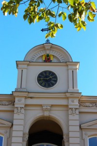 Gymnasium