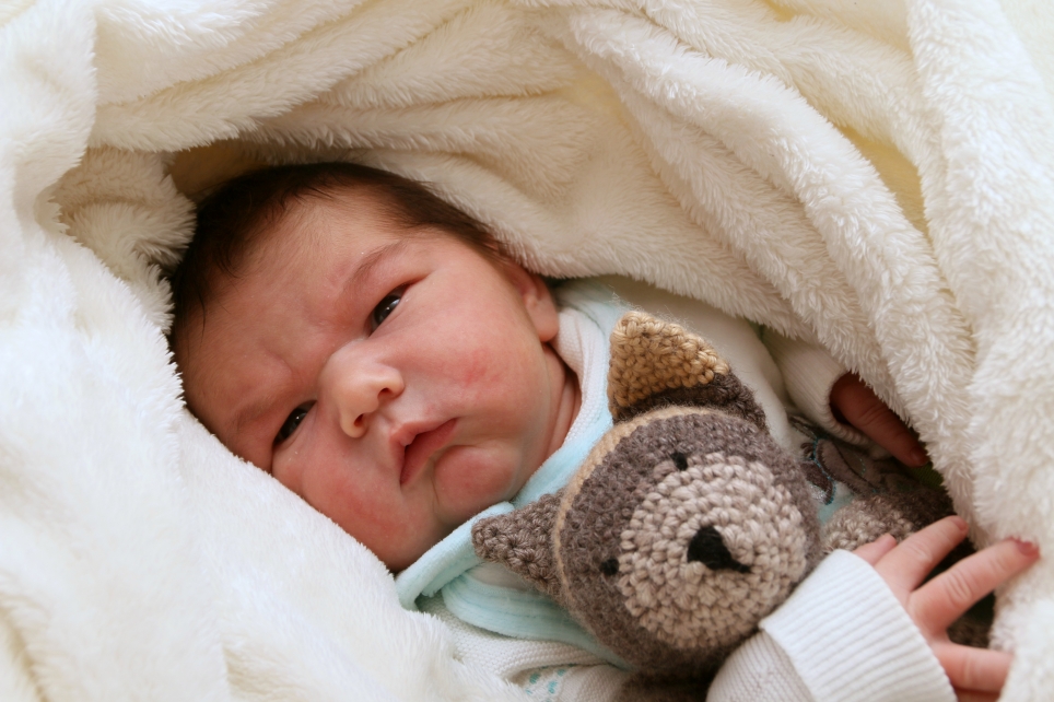 356_KN303_01525314_LINDOW-509623_Bild-fuer-Zeitung