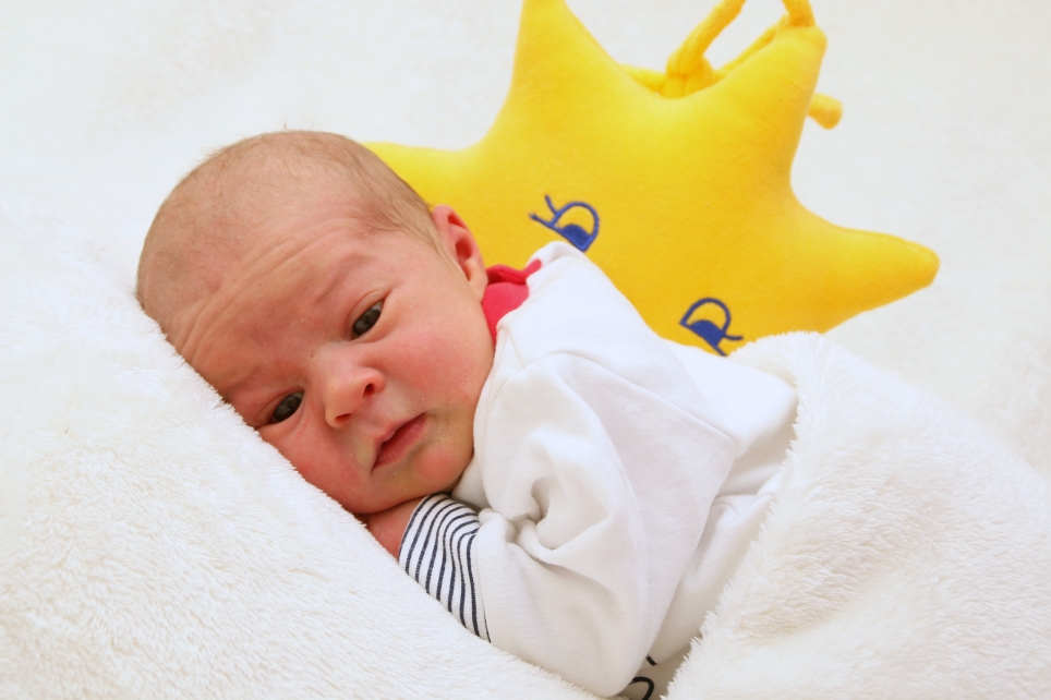 356_KN303_01525317_DEVRIES-509618_Bild-fuer-Zeitung