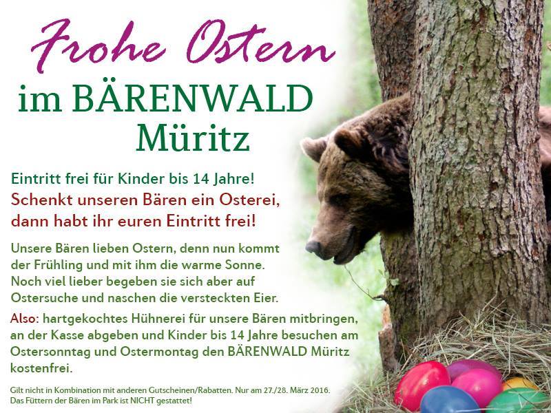 Baer