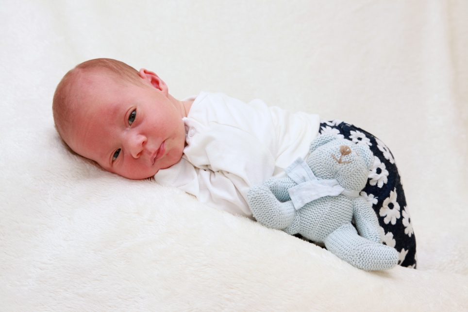 356_KN303_01556482_ZEUCHNER-556388_Bild-fuer-Zeitung