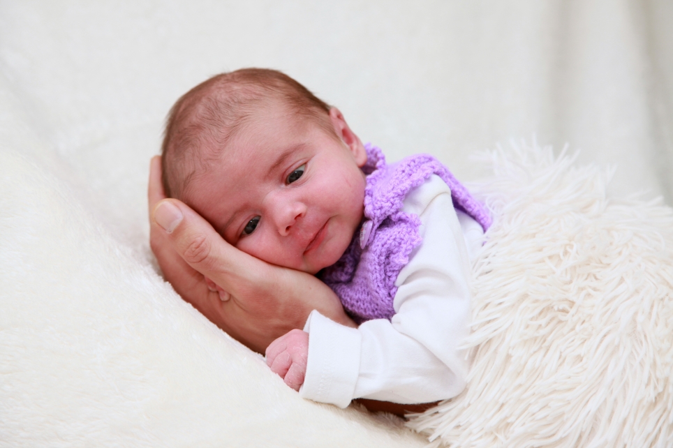 356_KN303_01556484_KRAFFT-556409_Bild-fuer-Zeitung