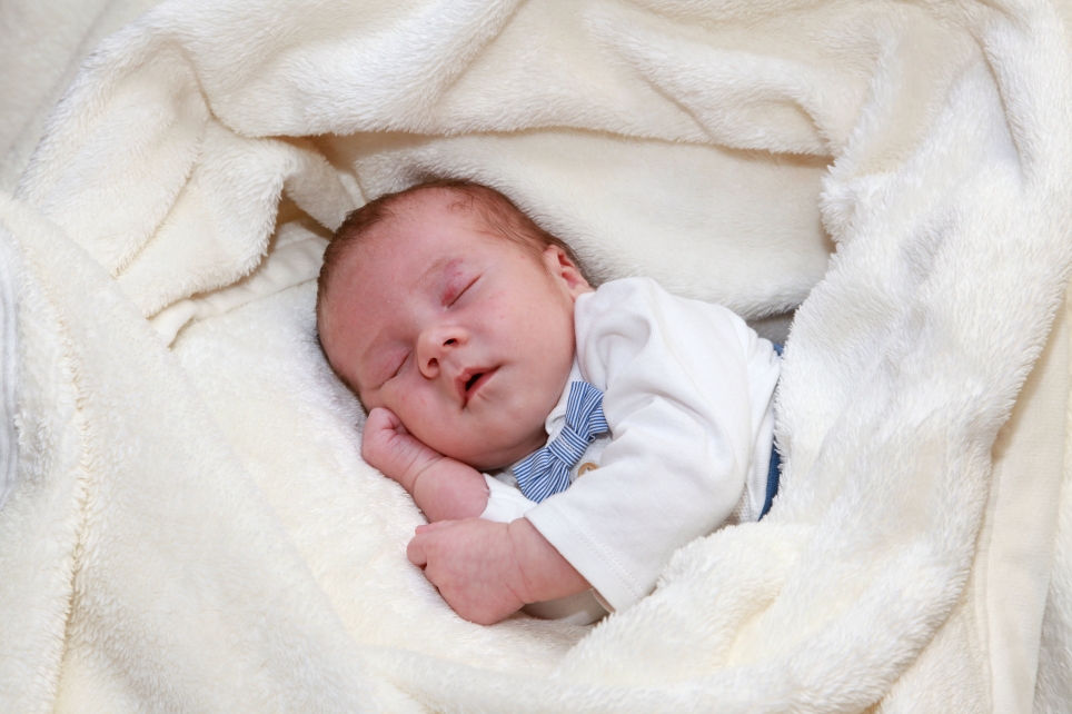 356_KN303_01592593_KRUSE-604457_Bild-fuer-Zeitung