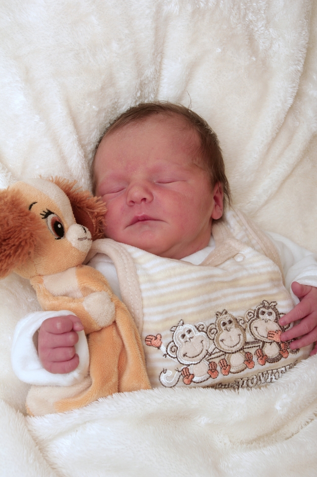 356_kn303_01596648_marohn-609583_bild-fuer-zeitung