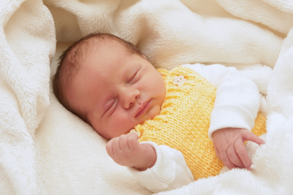 356_kn303_01597925_speckin-611184_bild-fuer-zeitung