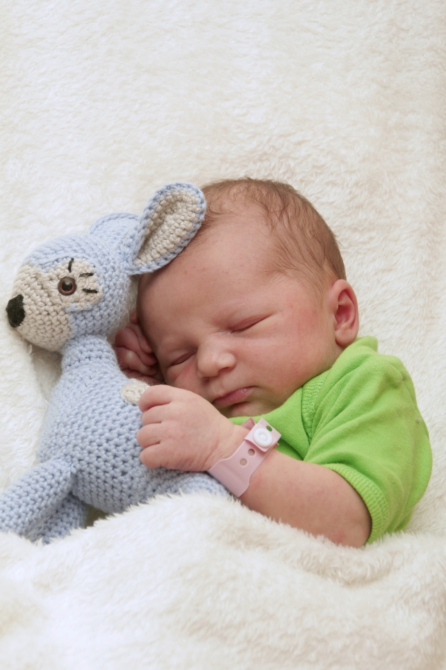 356_kn303_01599965_lepel-613676_bild-fuer-zeitung