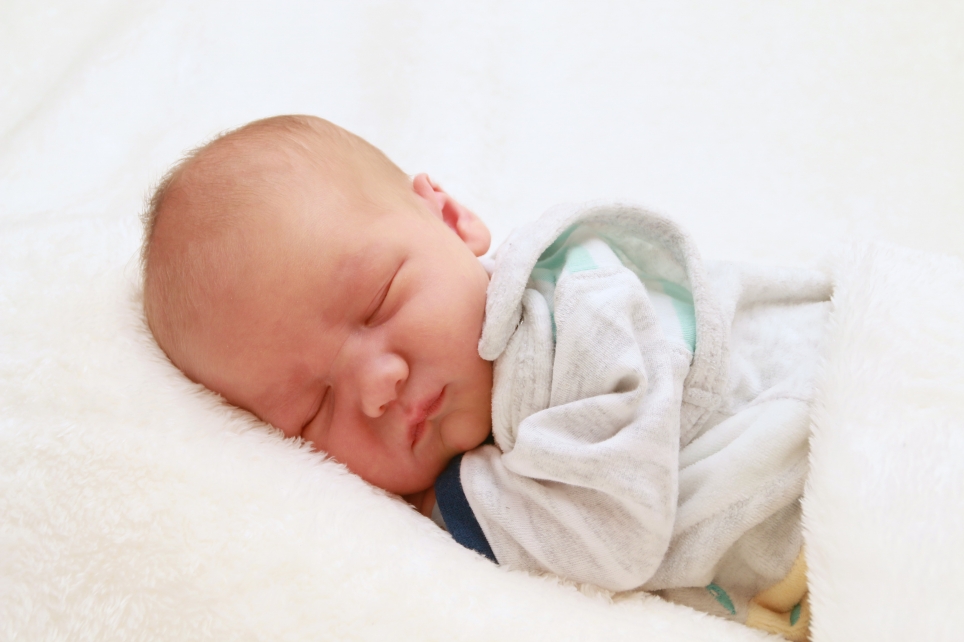 356_kn303_01621225_maack-640973_bild-fuer-zeitung