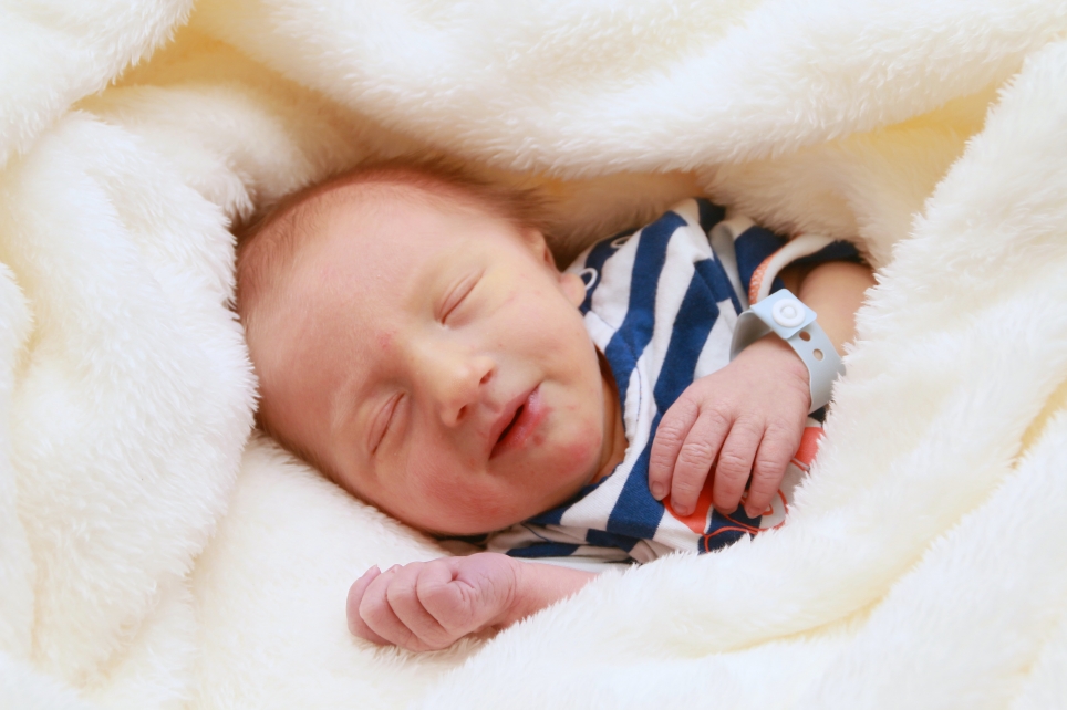 356_kn303_01621227_schwarz-640975_bild-fuer-zeitung