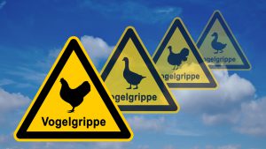 ib1 InfoBanner - Vogelgrippe Warnsymbol ohne Viren 16zu9 g2634