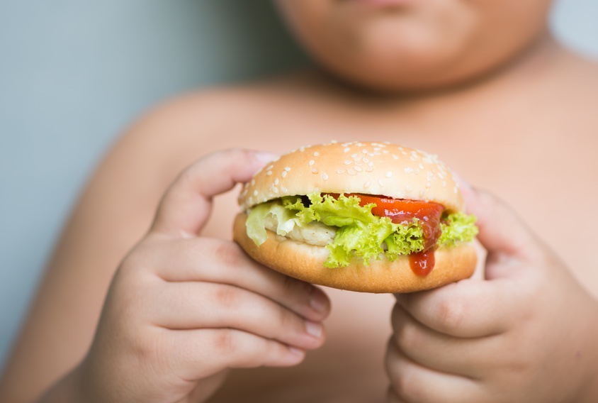 chicken cheese Hamburger on obese fat boy hand