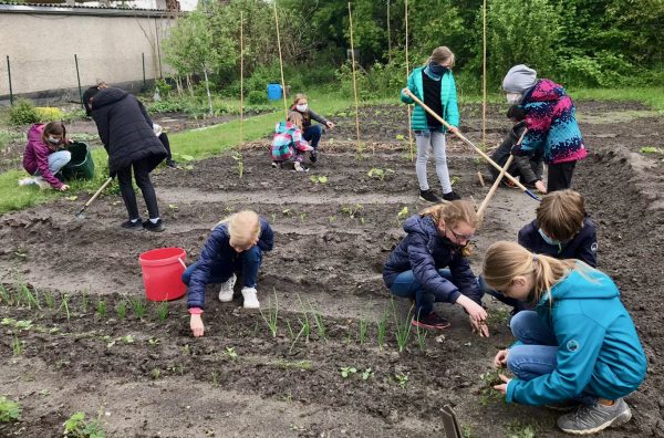 Wie man Schüler für Essen aus dem Garten begeistert » Wir sind