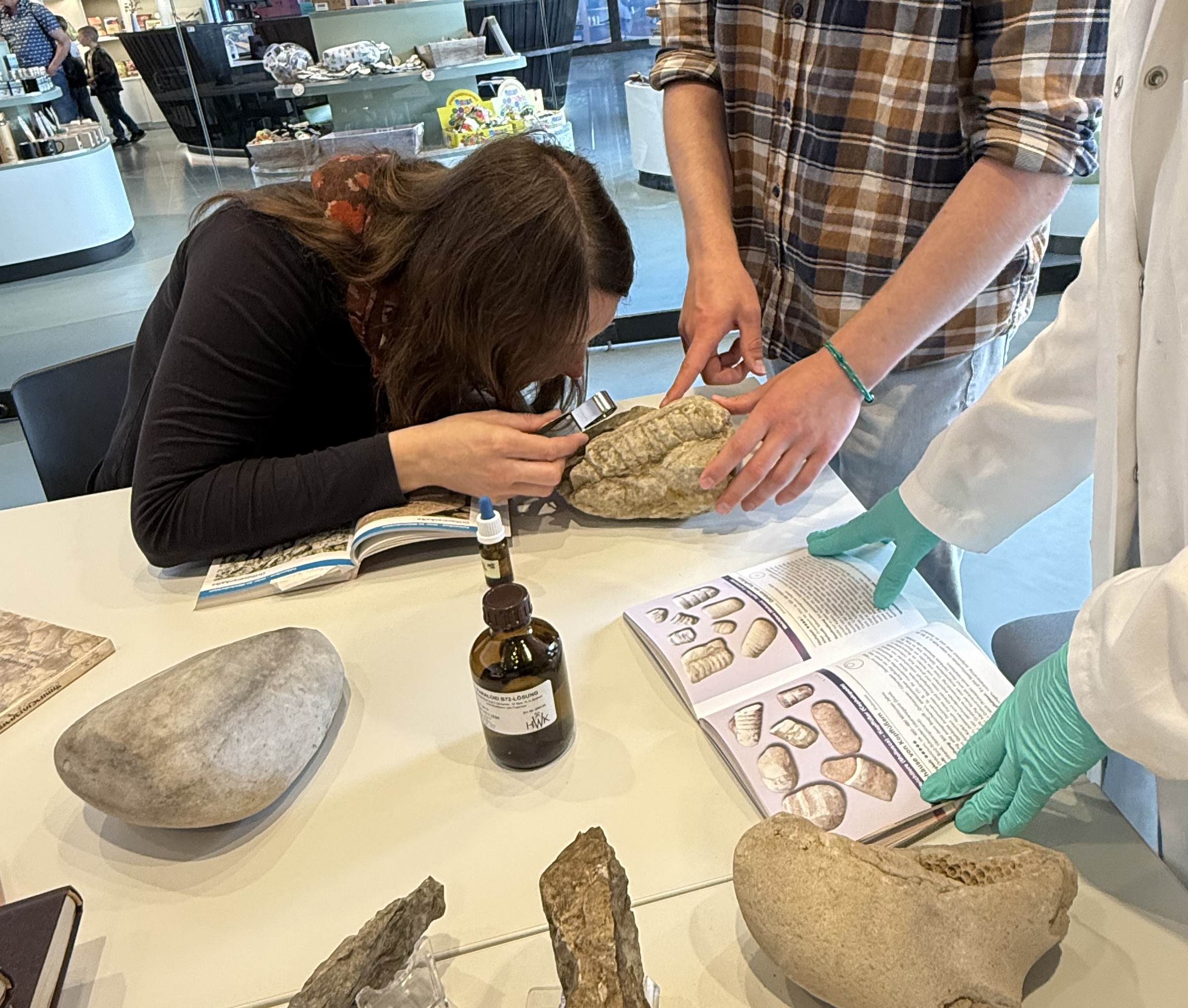 Gesteinssprechstunde im Müritzeum