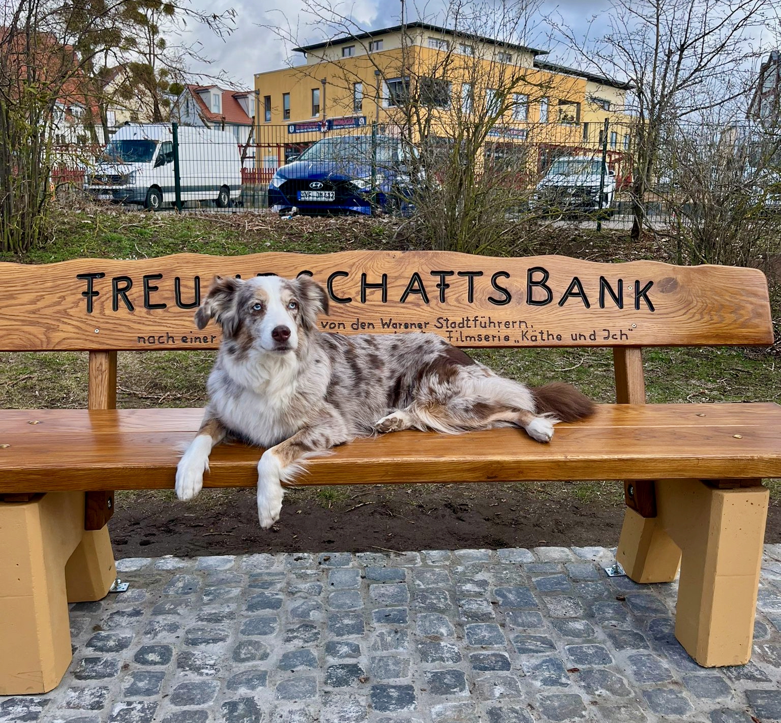 WhatsApp Image 2026-03-30 at 18.33