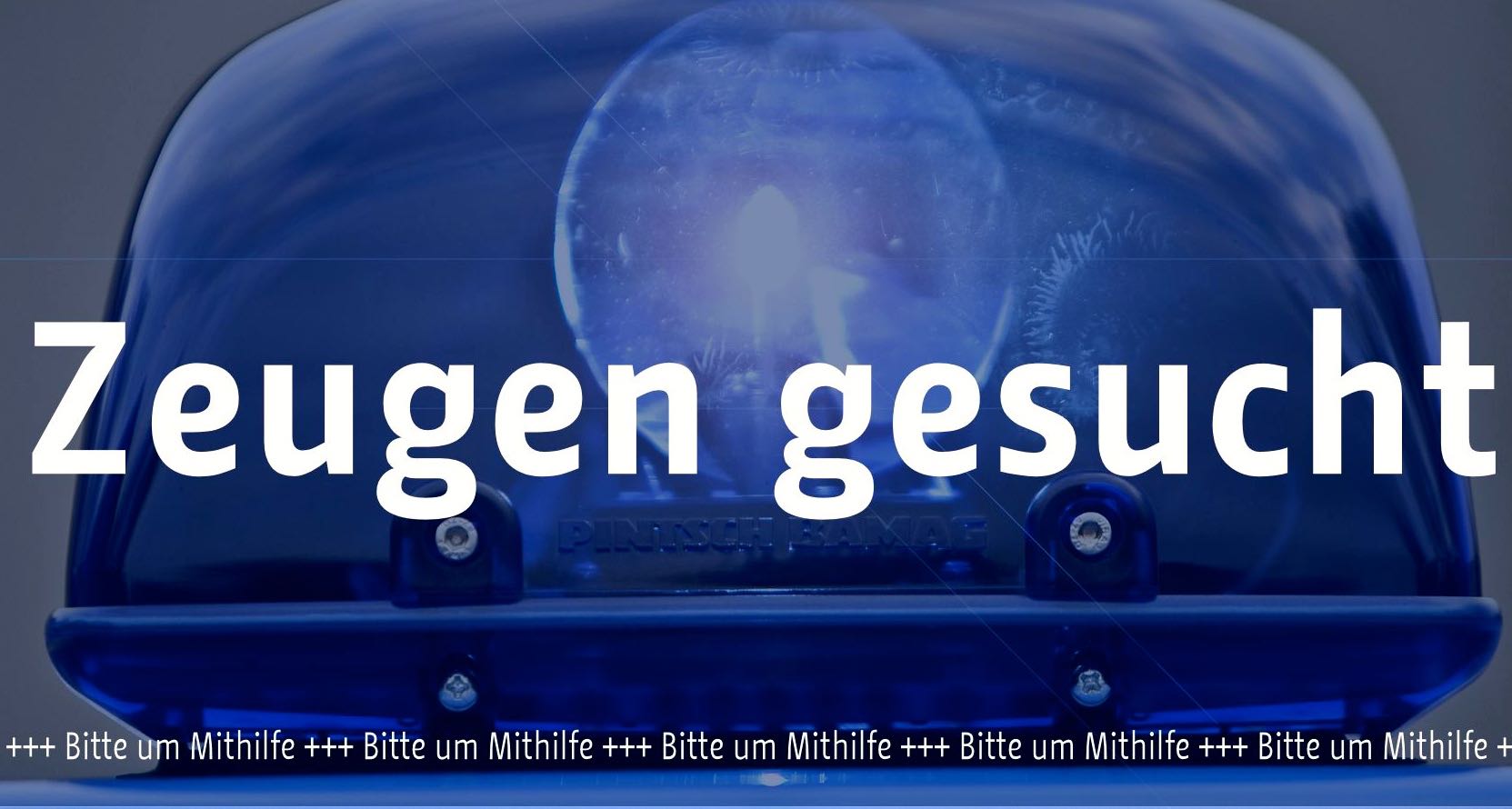 Zeugengesucht
