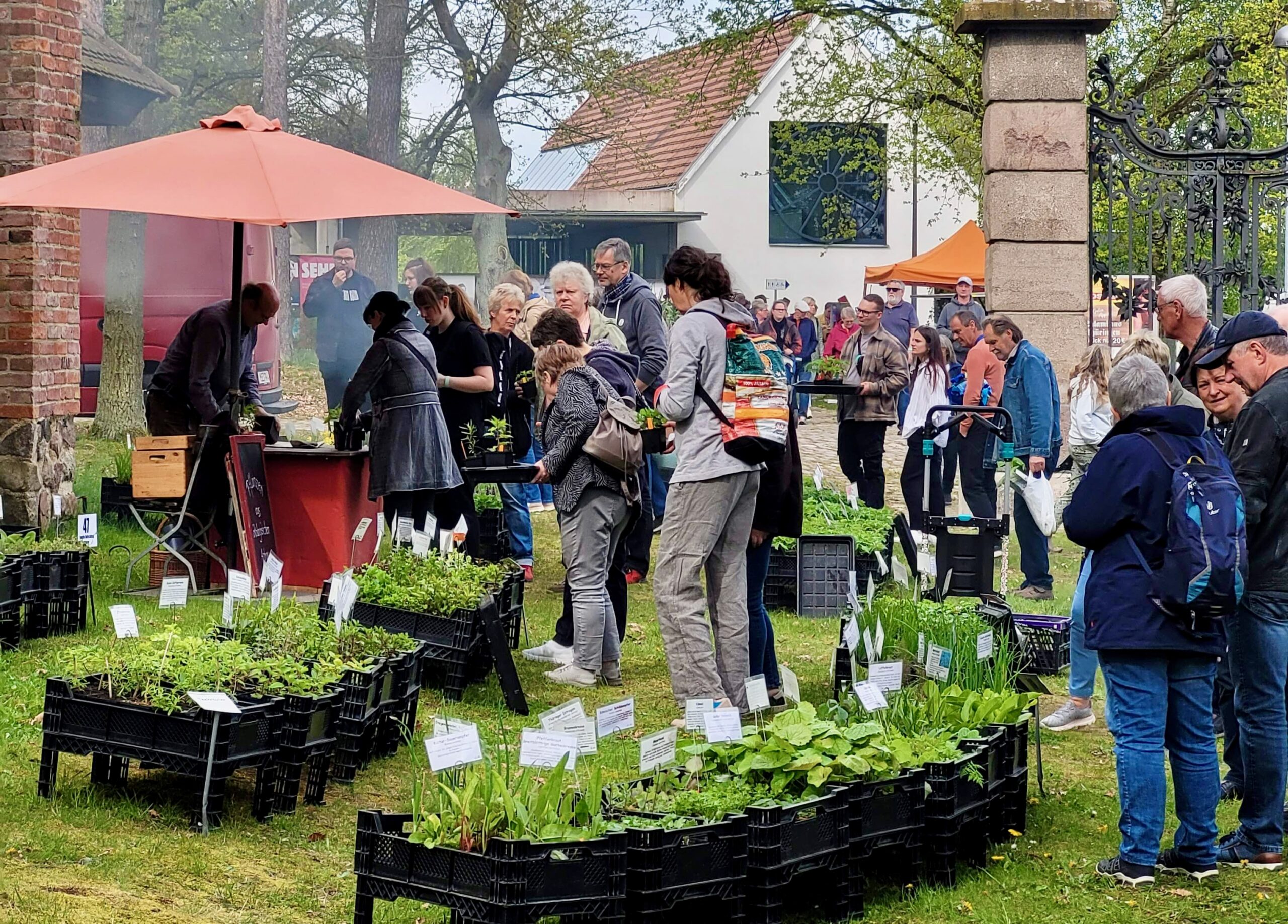 AGM PTTag 280424_MuSeEn gGmbH_Isabel Hopner (27)