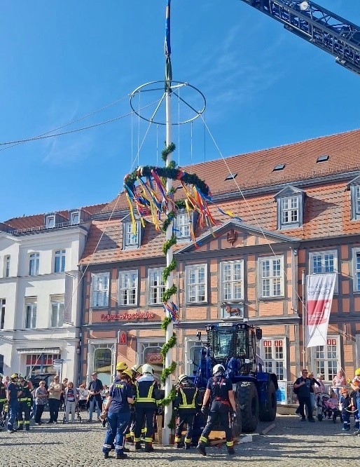 Maibaum©StadtWarenM
