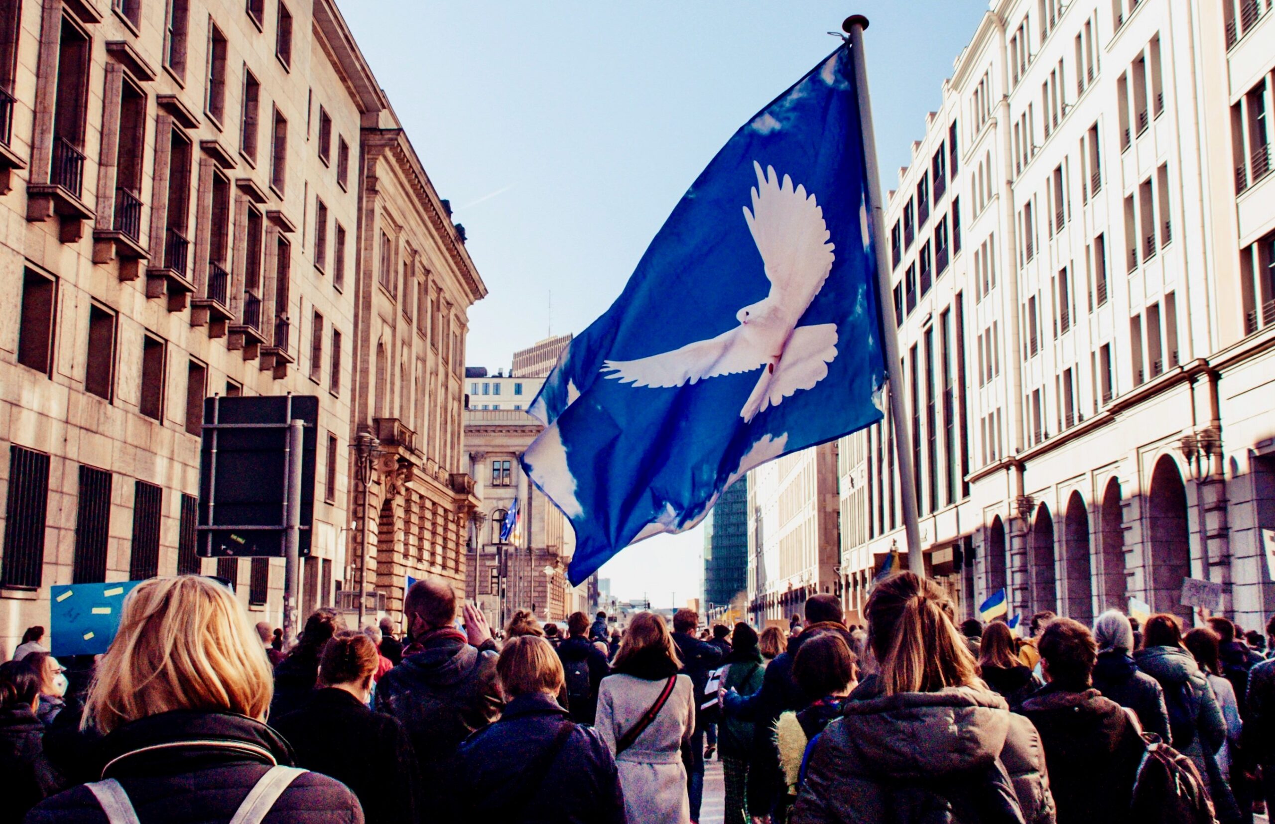 wal_172619-demonstration-7068829 (1)