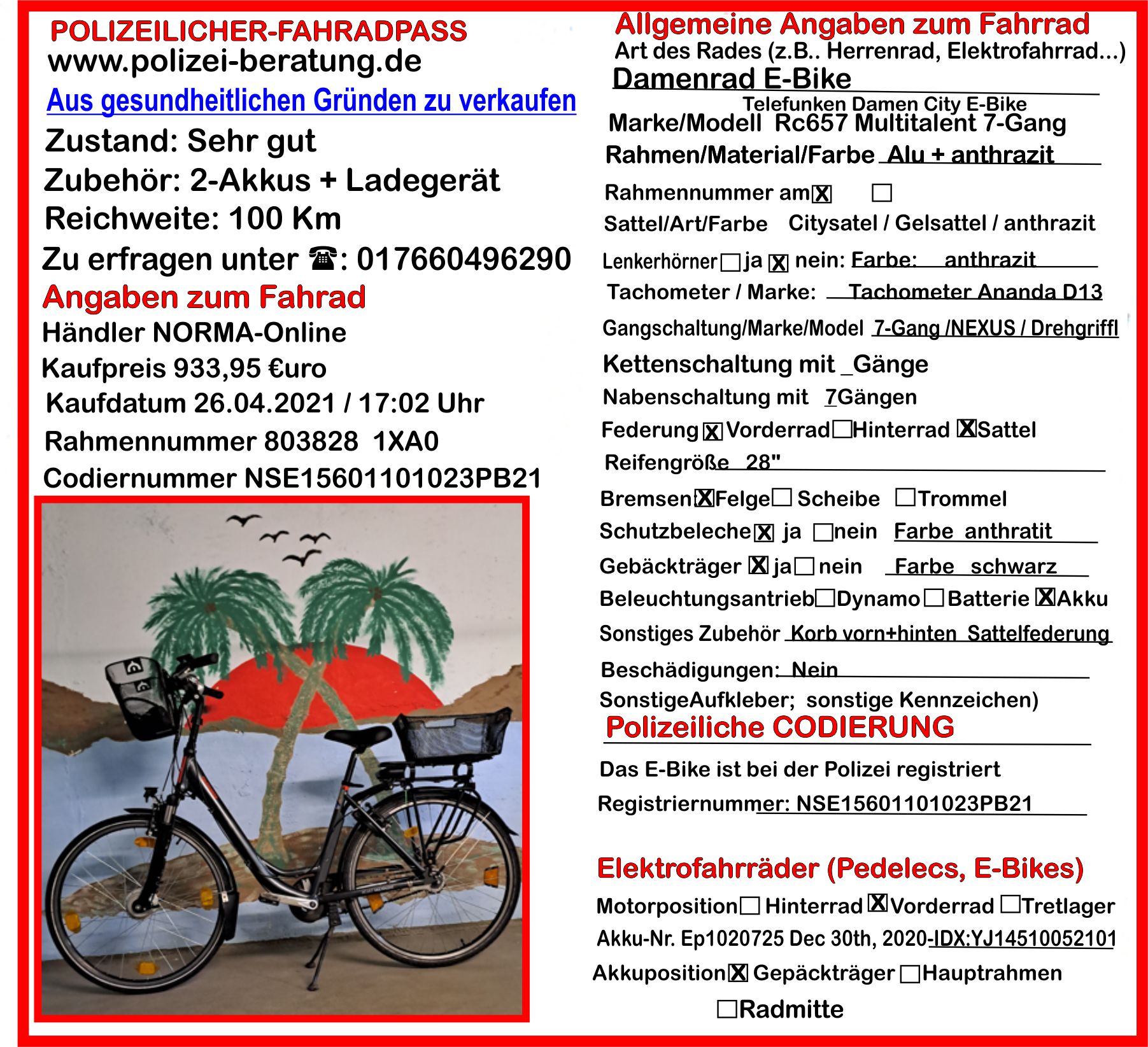 0-E-Bike-Telefunken