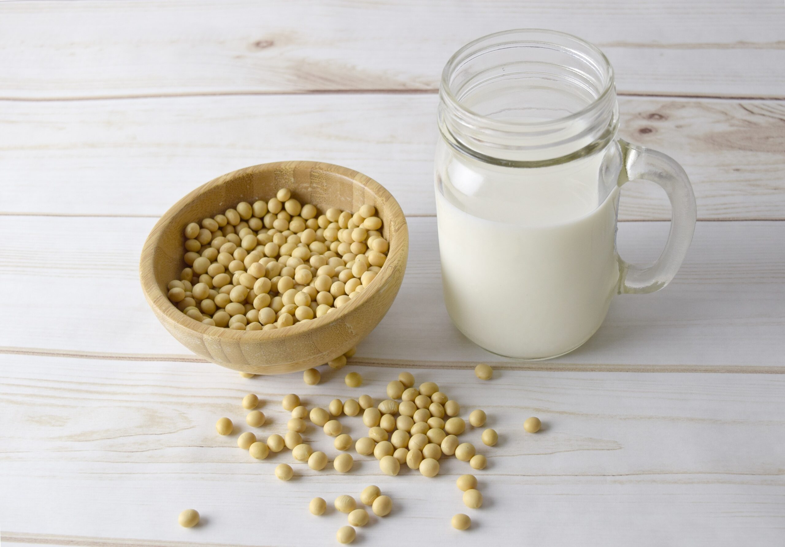 bigfatcat-soy-milk-2263942